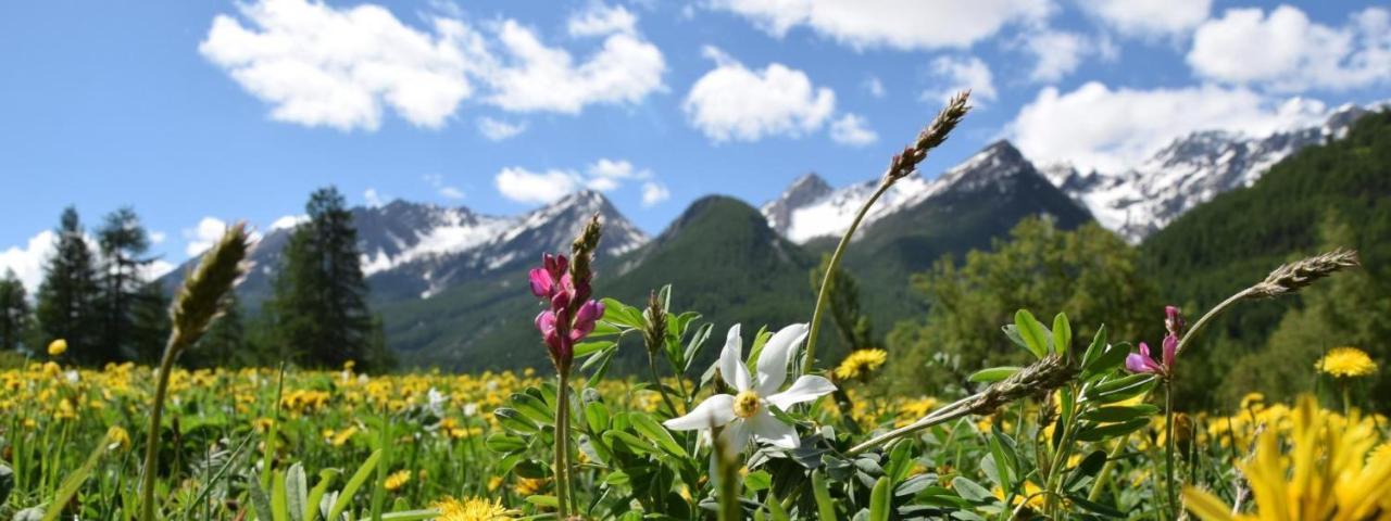 Nice Appt In Briancon Les Charmettes Екстериор снимка