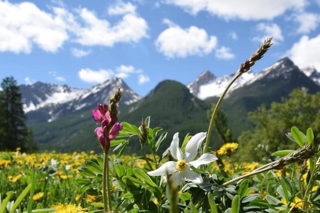 Nice Appt In Briancon Les Charmettes Екстериор снимка